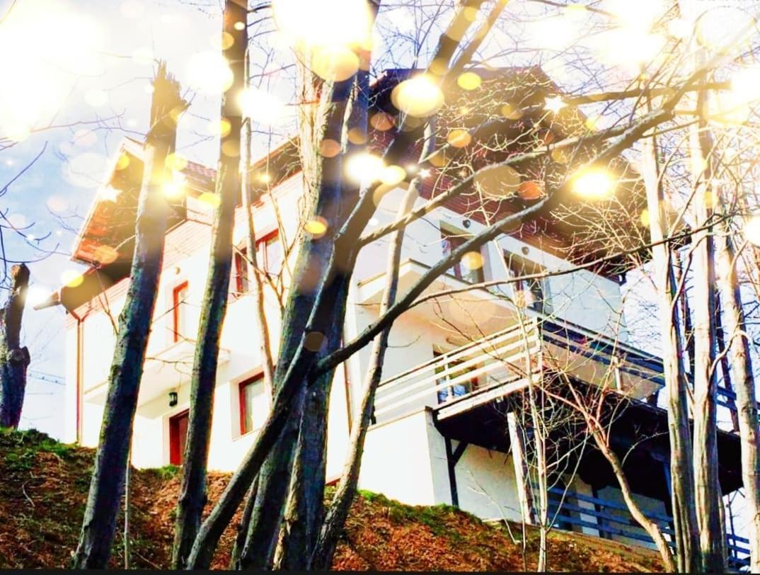 4Temporadas Villa Bran  Exterior photo